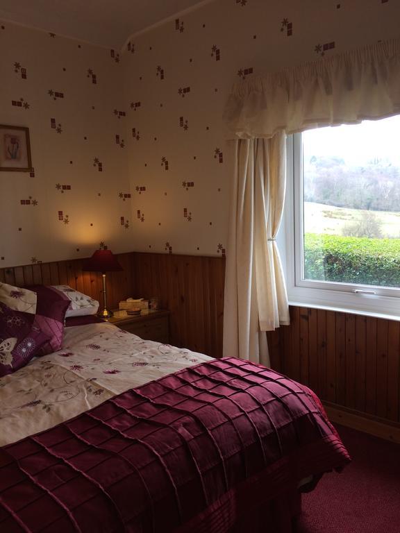 Rhiwiau Guesthouse Лланфэрфечейн Экстерьер фото